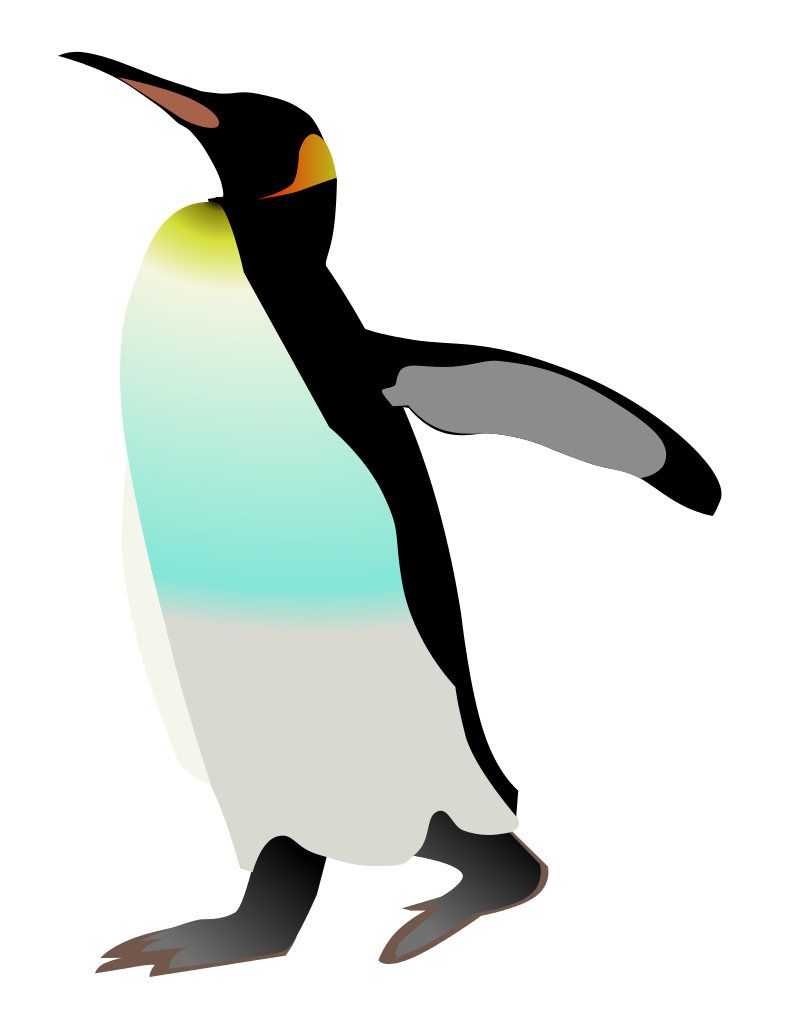 Penguin PNG Isolated Image