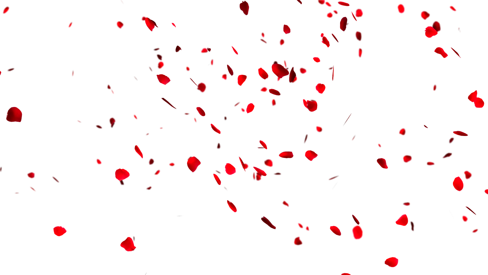 Petal PNG Background Isolated Image