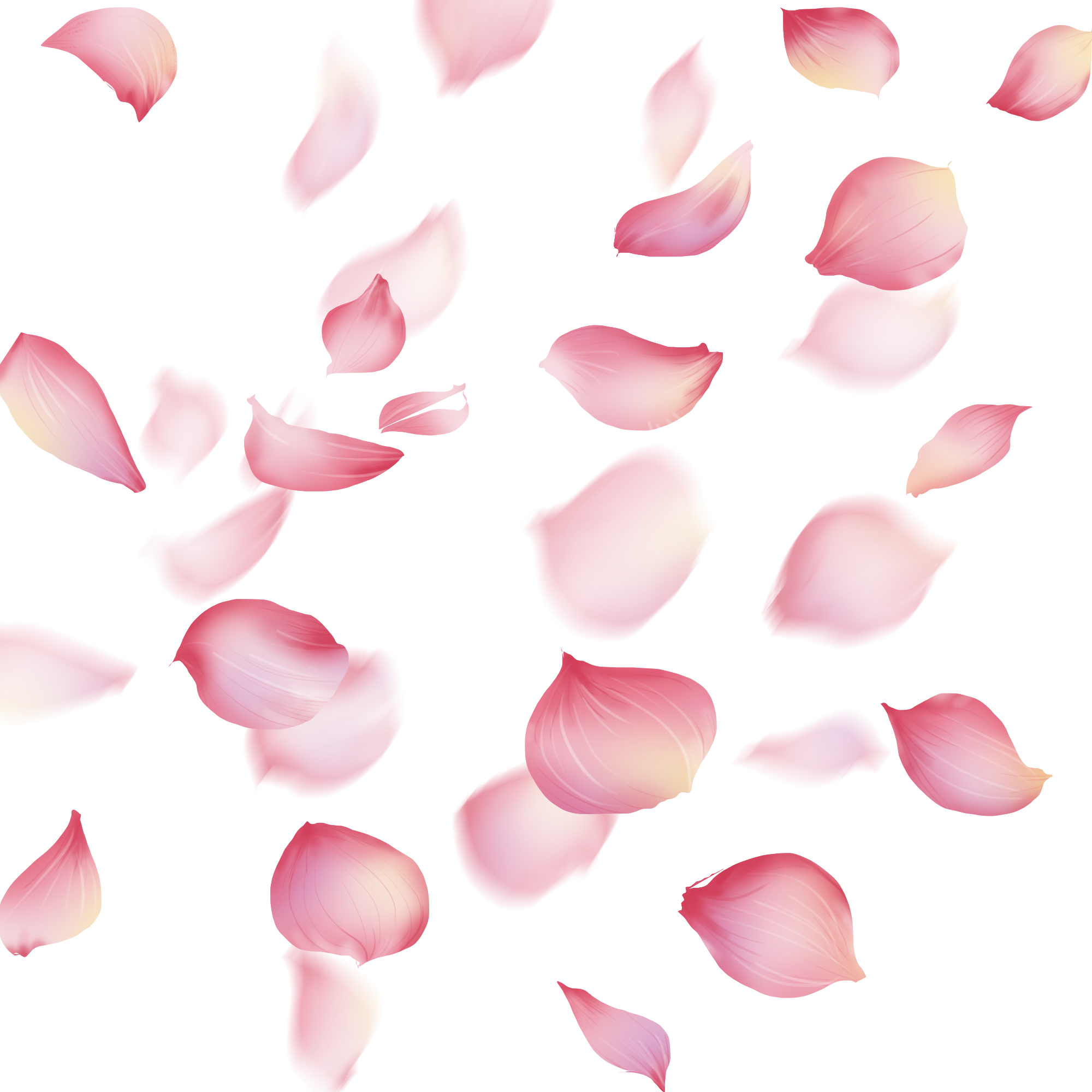 Petal PNG Isolated HD Pictures