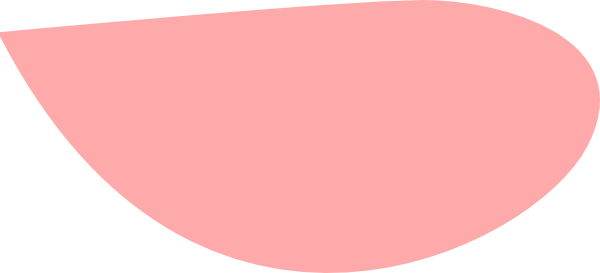 Petal PNG Isolated Transparent
