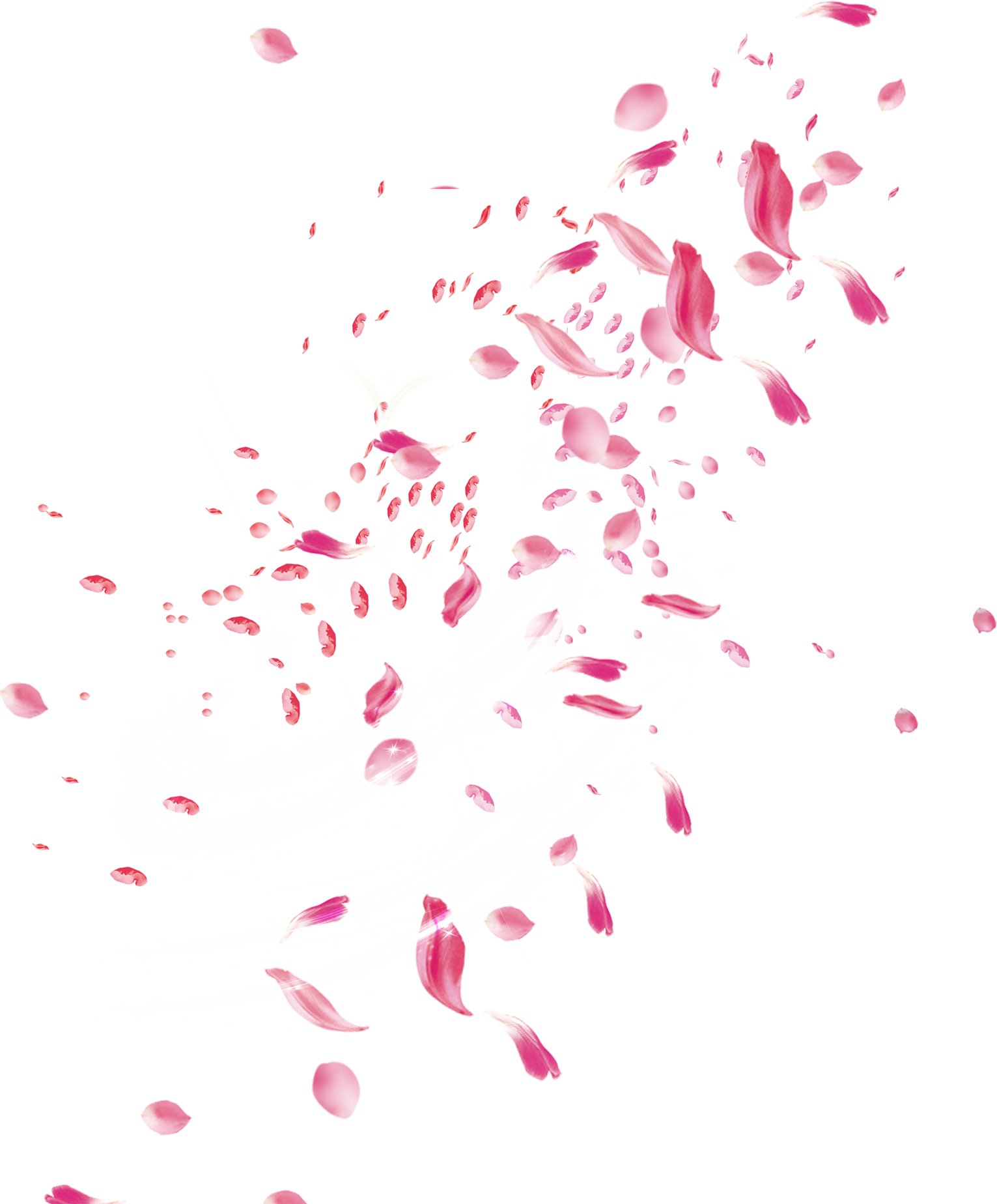 Petal Transparent Isolated PNG