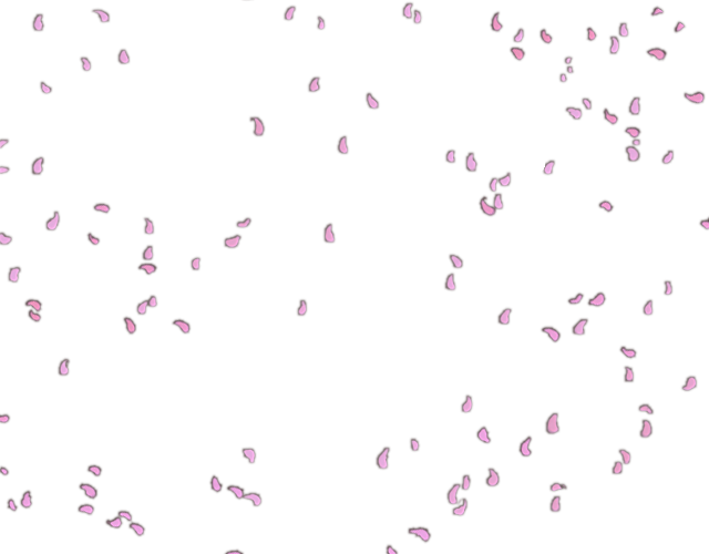 Petals PNG Isolated Image