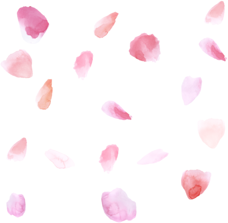 Petals PNG Isolated Photo