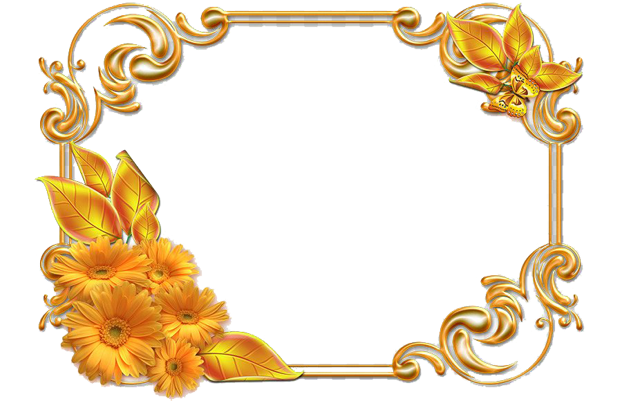 Photo Frame PNG Isolated HD Pictures