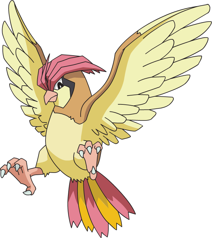 Pidgeotto Pokemon PNG HD Isolated