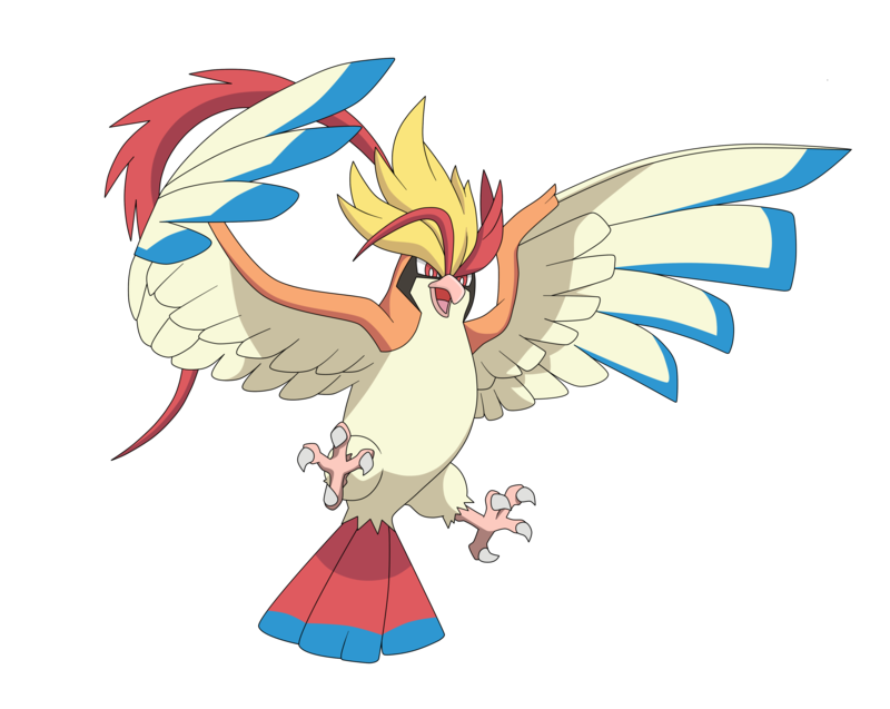 Free: Pidgeotto Pokémon X and Y Pokédex - Pidgeot png download - 600*473   