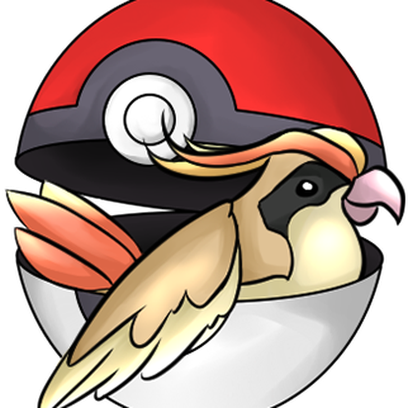Pidgeotto Pokemon PNG Isolated File