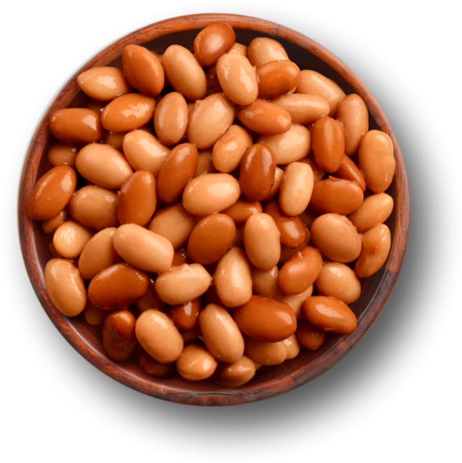 Pinto Beans PNG File