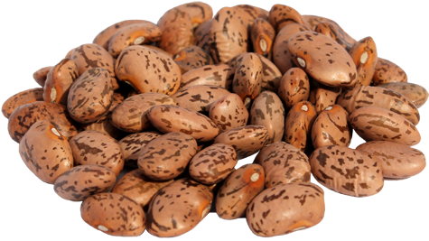 Pinto Beans PNG HD