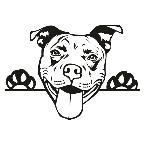 Pit Bulls PNG Isolated Pic