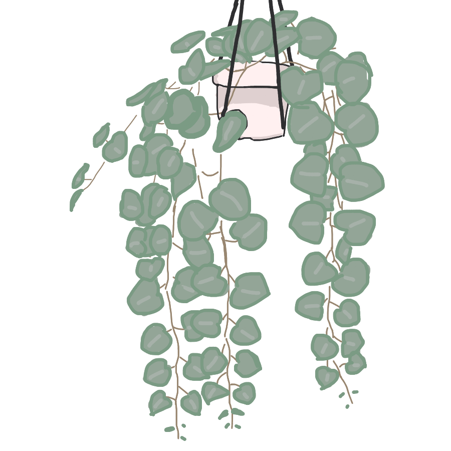 Plant Aesthetic Theme PNG Pic