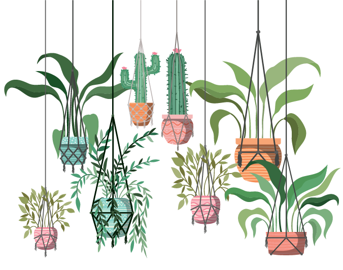 Plant Mom Aesthetics Theme PNG Picture