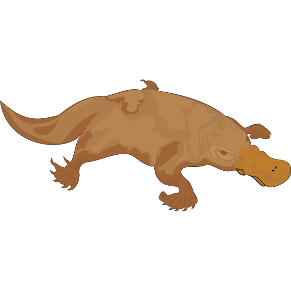 Platypus PNG Clipart