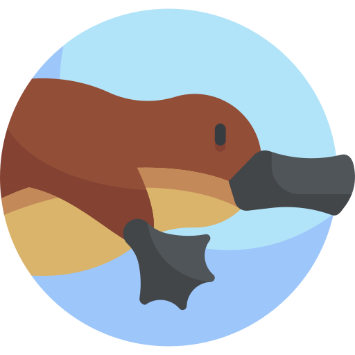 Platypus PNG Picture