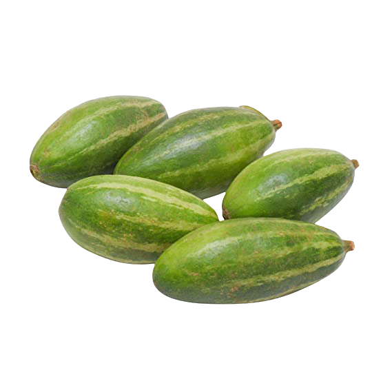Pointed Gourd PNG File