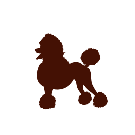 Poodle PNG Clipart