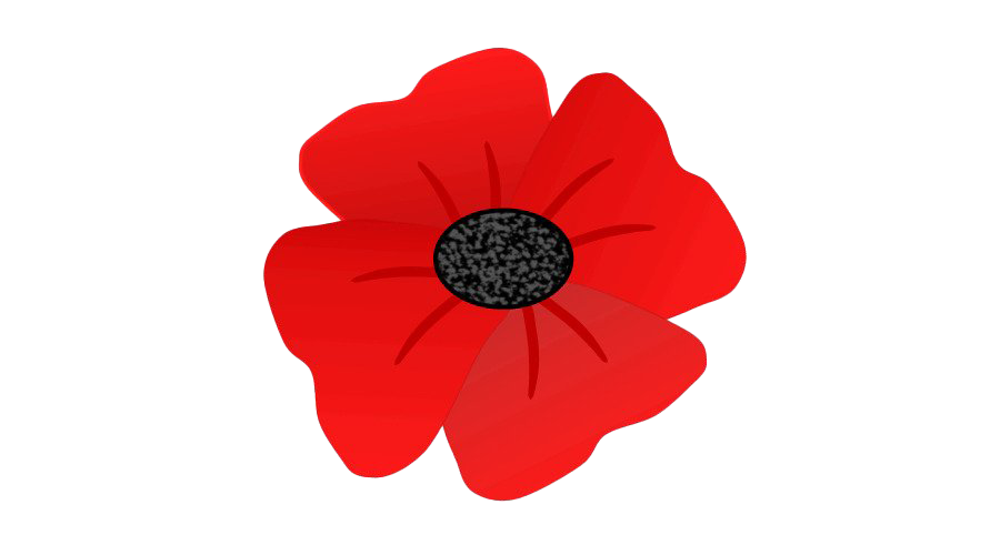 Poppy PNG Isolated HD Pictures