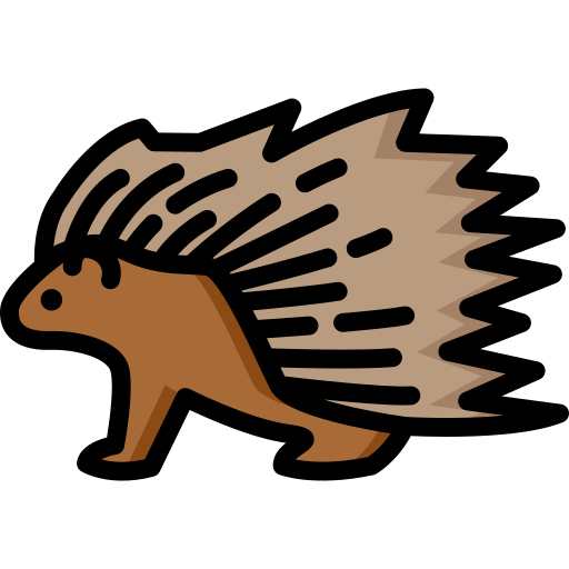 Porcupine PNG HD Isolated