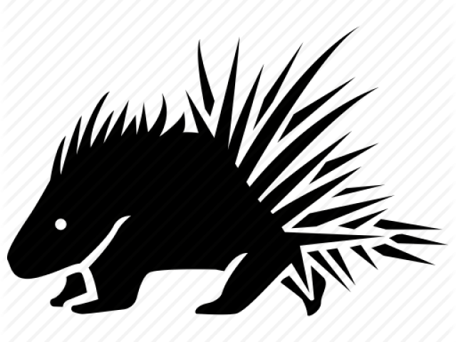 Porcupine PNG Image