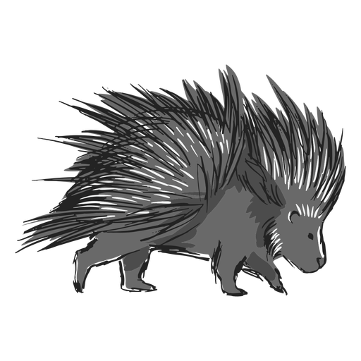 Porcupine PNG Isolated HD