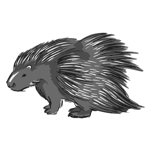 Porcupine PNG Picture