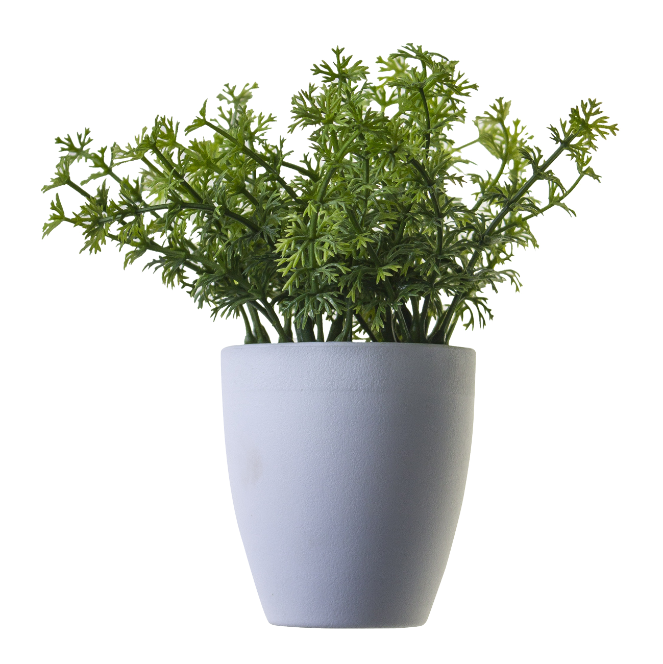 Pot PNG Isolated Pic