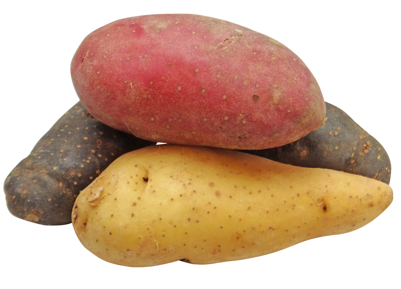 Potatoes PNG File