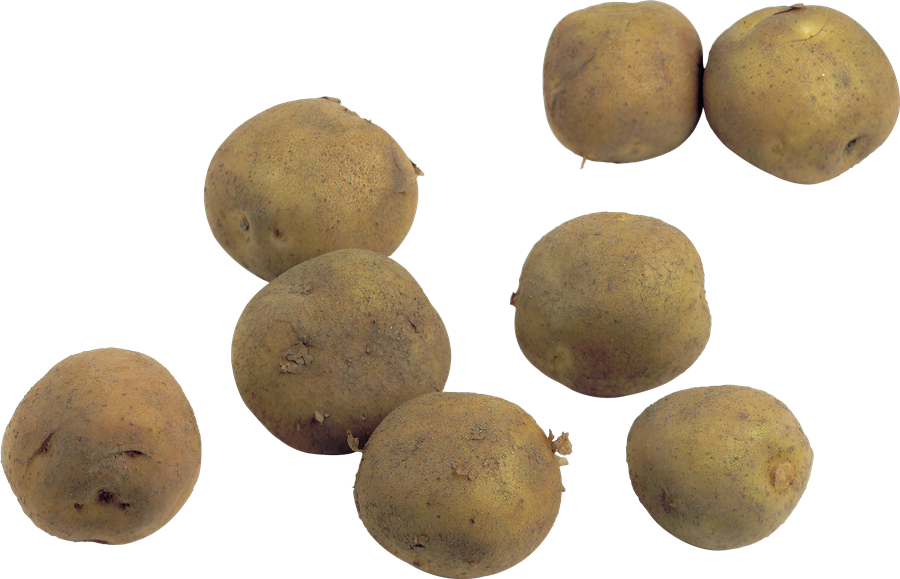 Potatoes PNG Free Download