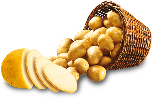 Potatoes PNG HD Isolated