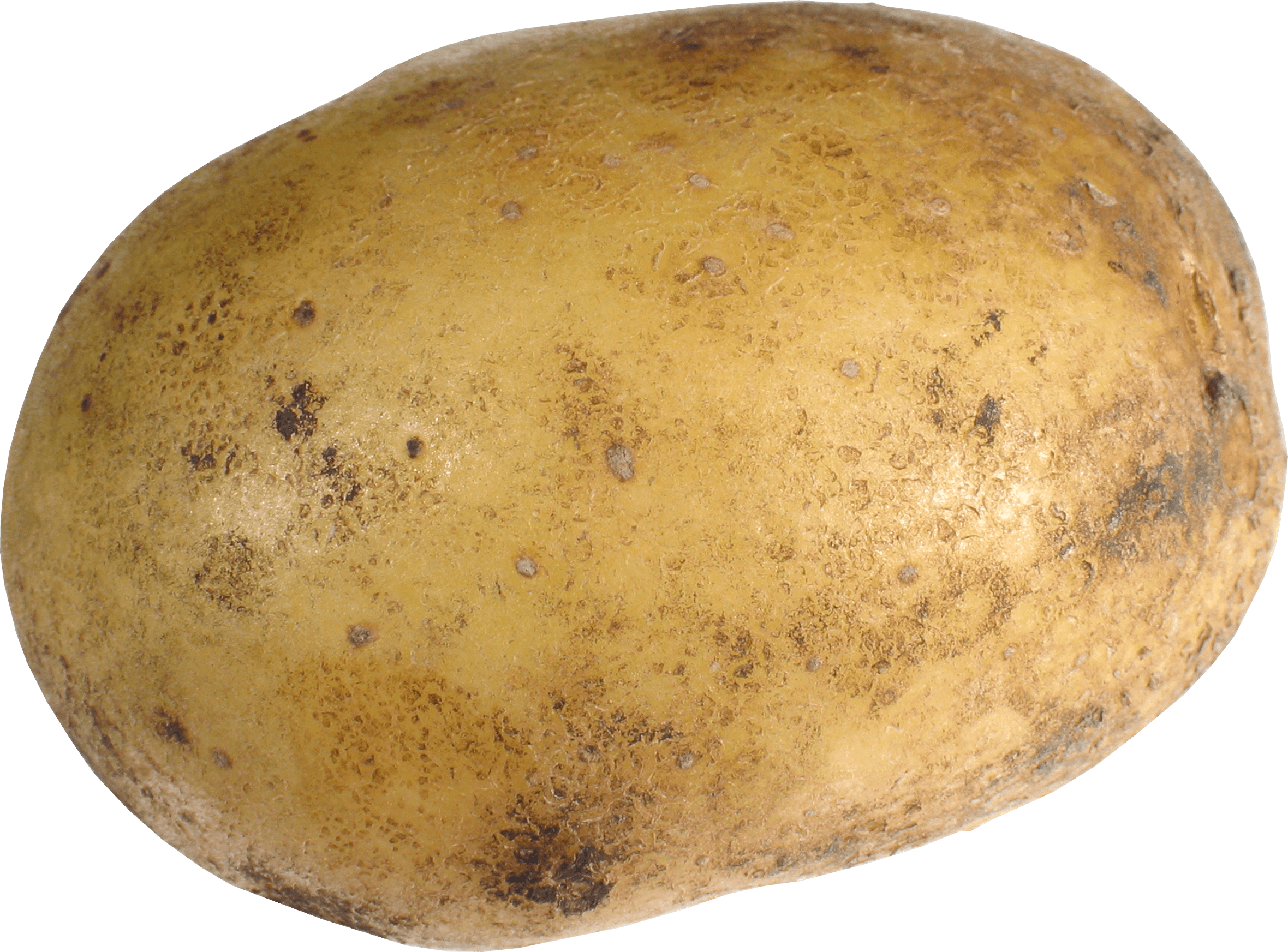 Potatoes PNG Isolated File