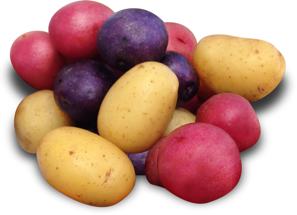 Potatoes PNG