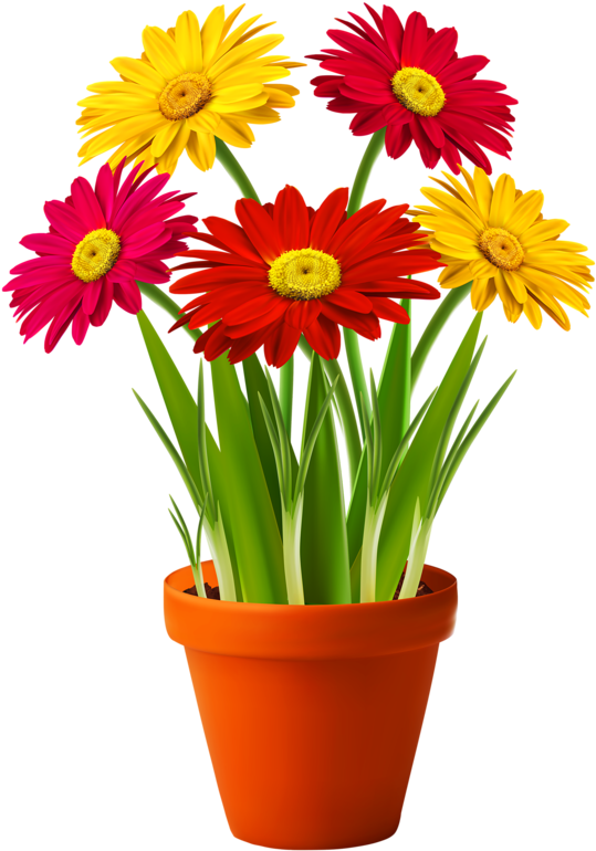 Potted Flowers PNG HD Isolated