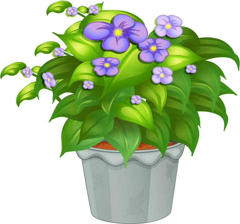 Potted Flowers PNG Picture