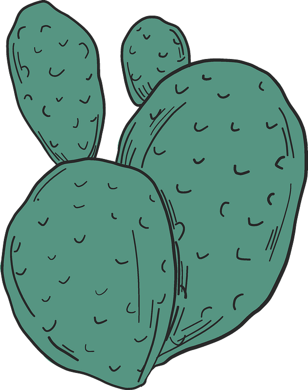 Prickly Pear PNG Isolated HD