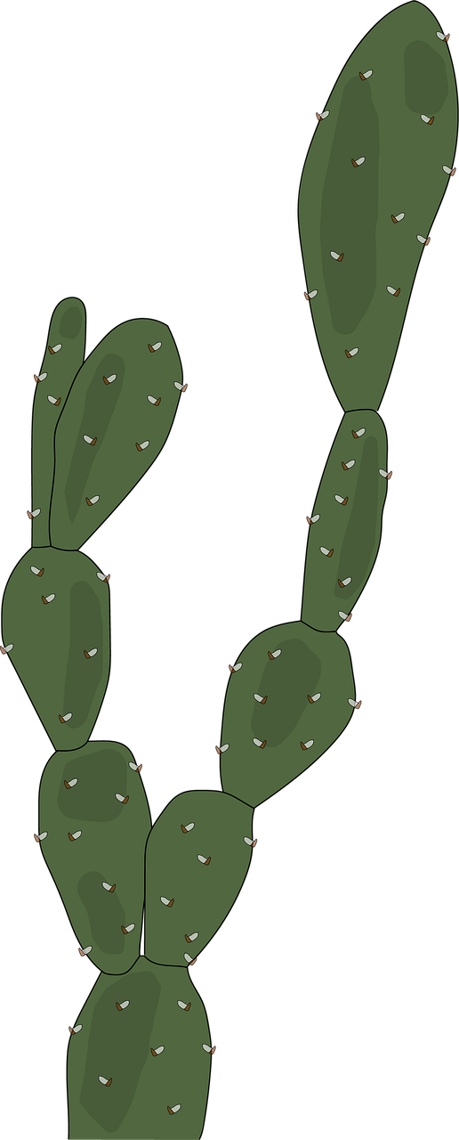 Prickly Pear PNG Photo