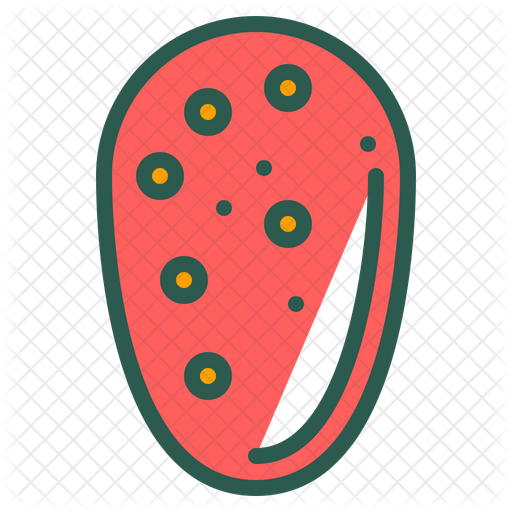 Prickly Pear PNG Pic