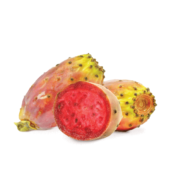 Prickly Pear PNG Transparent