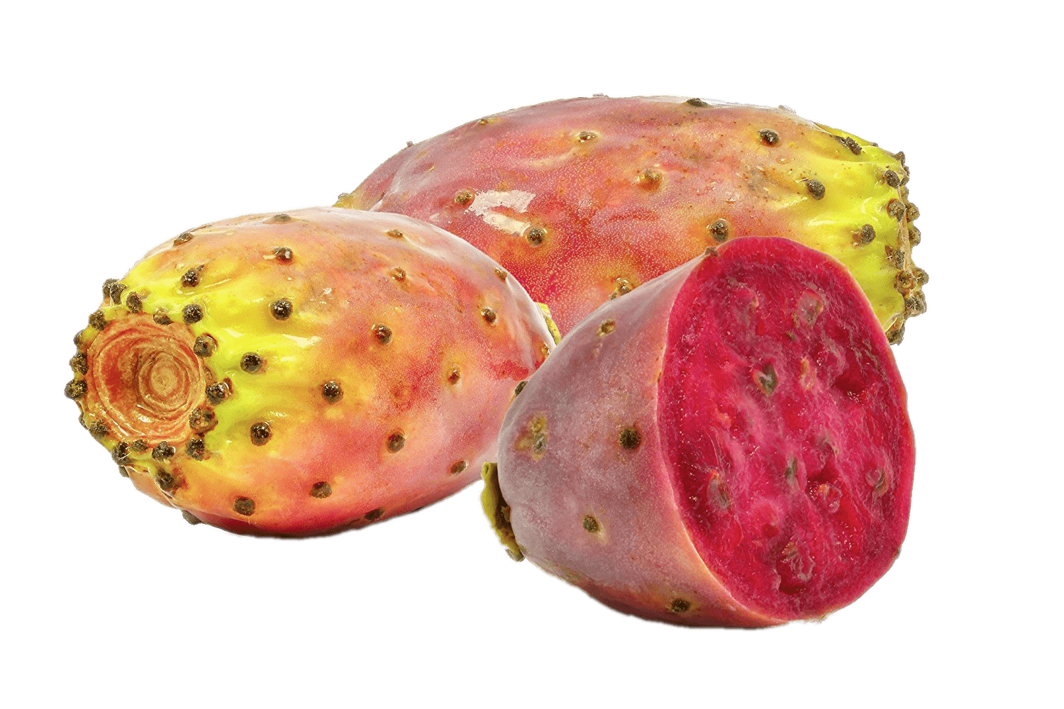 Prickly Pear Transparent PNG