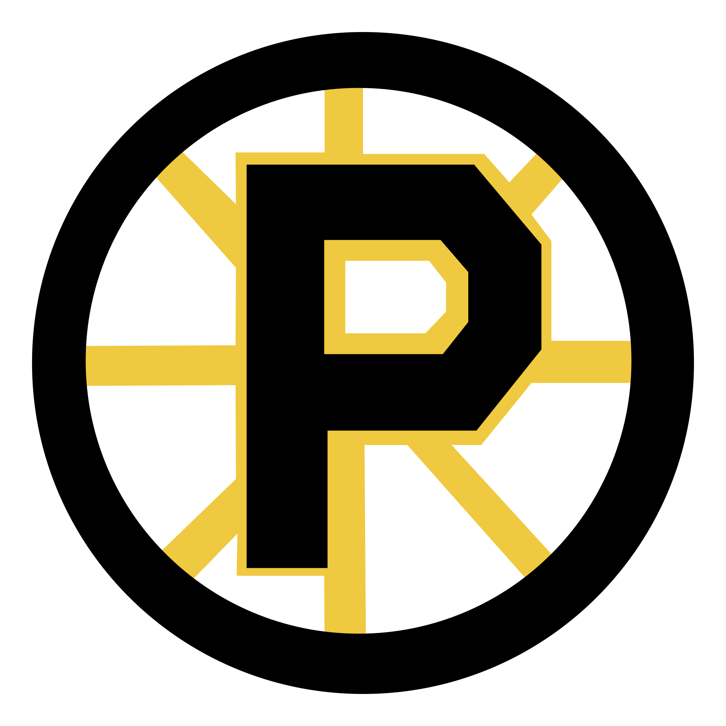 Providence Bruins PNG