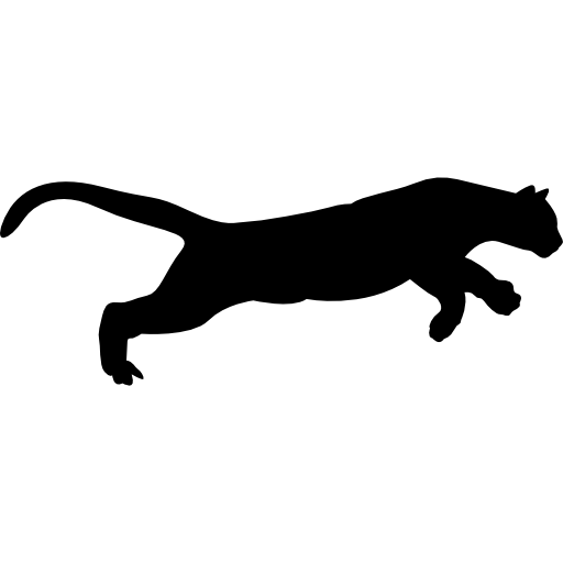 Puma Animal PNG HD Isolated