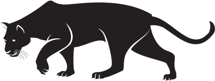 Puma Animal PNG Isolated File