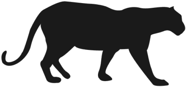 Puma Animal PNG Transparent