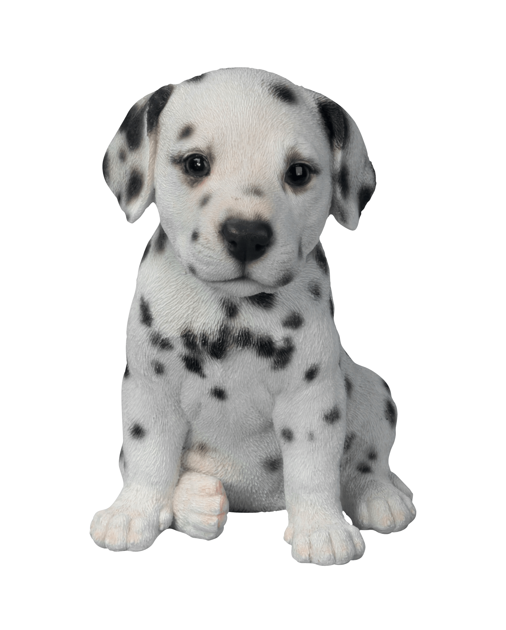 Puppies PNG Image