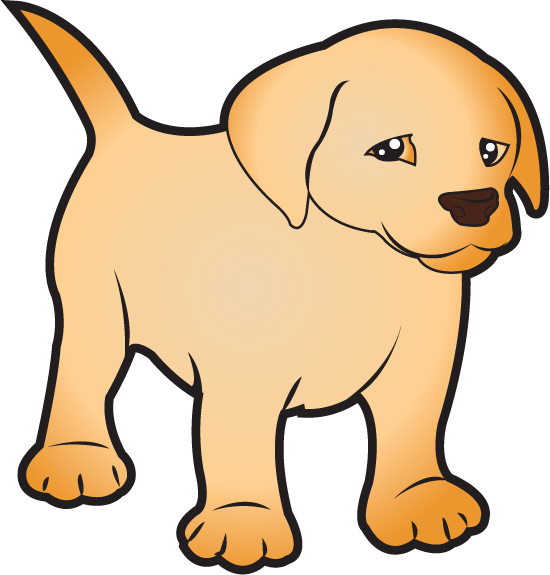Puppies PNG Isolated Photo