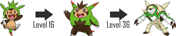 Quilladin Pokemon PNG Picture