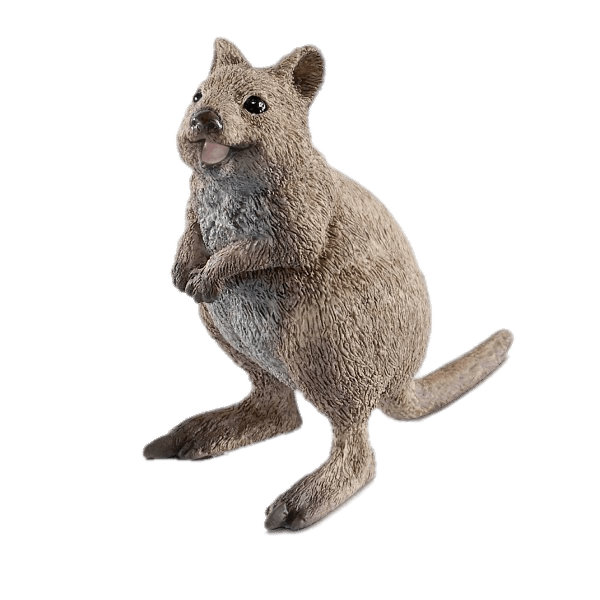 Quokka PNG Picture