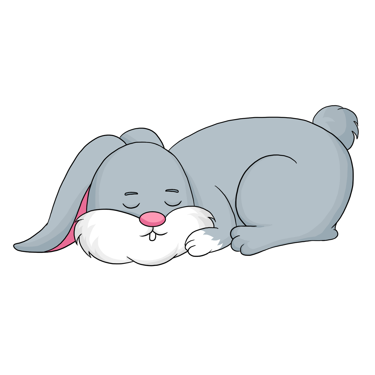 Rabbit PNG Isolated HD