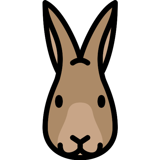 Rabbit PNG Picture