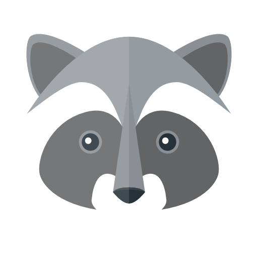 Raccoons PNG HD Isolated