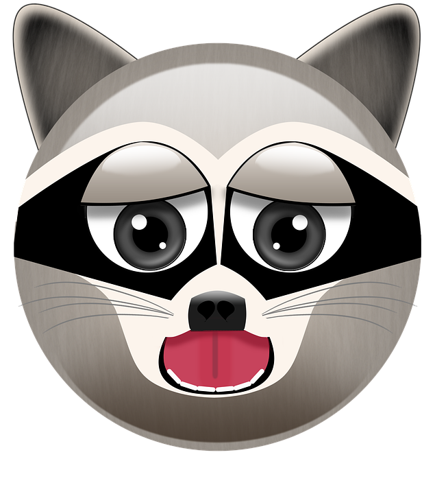 Raccoons PNG Isolated HD